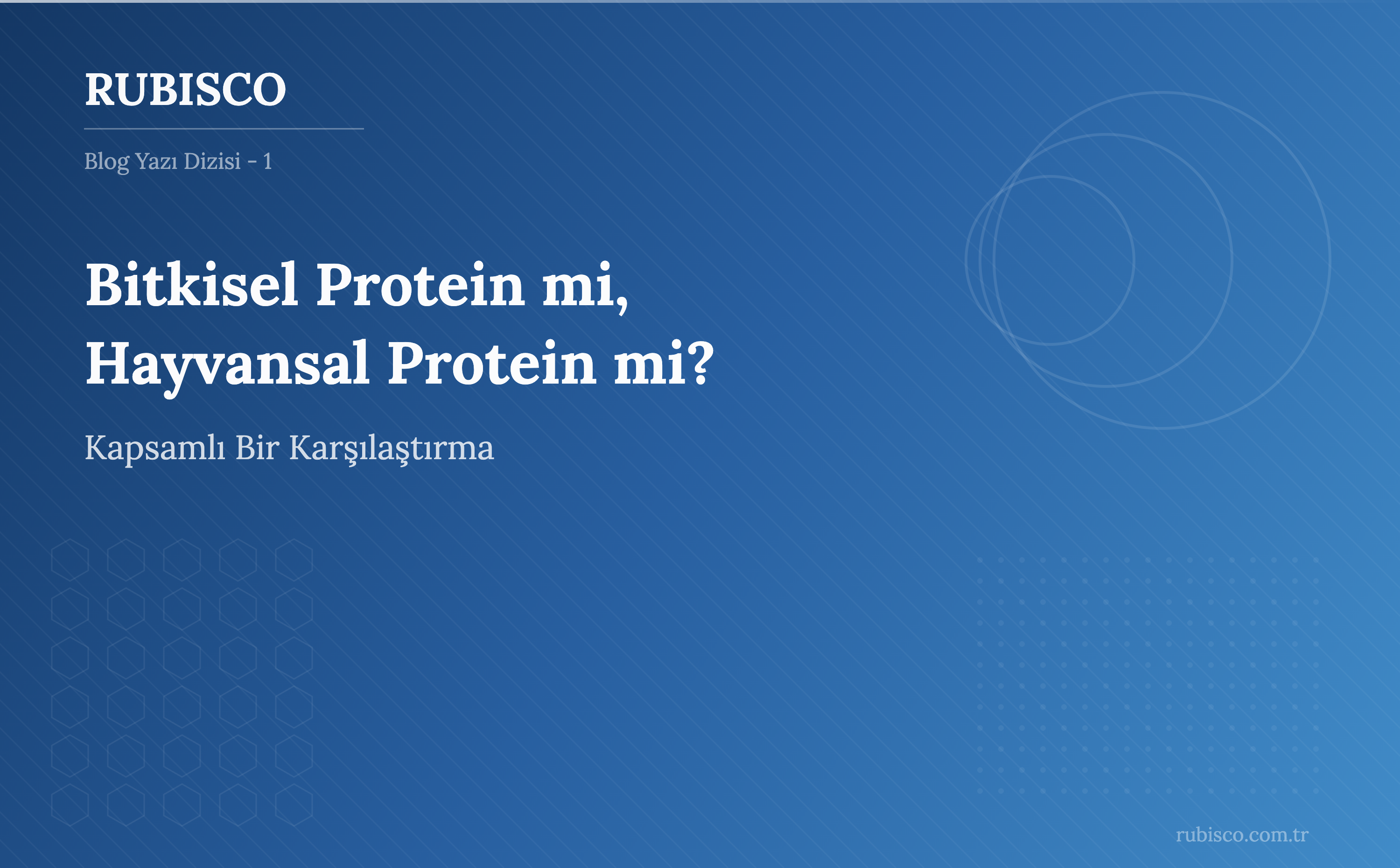 Bitkisel Protein mi, Hayvansal Protein mi? Kapsımlı Bir Karşılaştırma