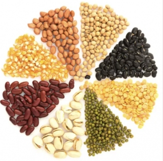 Bitkisel Proteinler: Sağlıklı ve Sürdürülebilir Beslenmenin Gücü