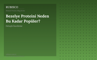 Bezelye Proteini Neden Bu Kadar Popüler? Detaylı İnceleme