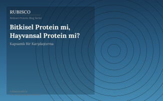 Bitkisel Protein mi, Hayvansal Protein mi? Kapsamlı Bir Karşılaştırma