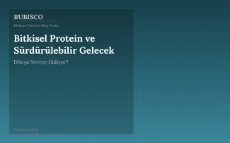 Bitkisel Protein ve Sürdürülebilir Gelecek: Dünya Nereye Gidiyor?