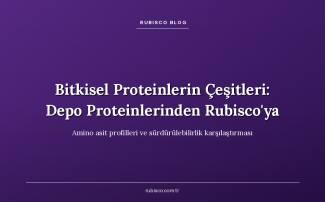 Bitkisel Proteinlerin Çeşitleri: Depo Proteinlerinden Rubisco'ya