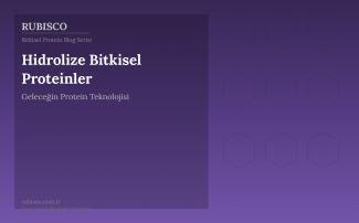 Hidrolize Bitkisel Proteinler: Geleceğin Protein Teknolojisi