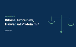 Bitkisel Protein mi, Hayvansal Protein mi? Kapsamlı Bir Karşılaştırma