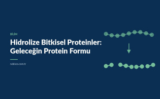 Hidrolize Bitkisel Proteinler: Geleceğin Protein Teknolojisi