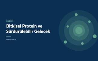 Bitkisel Protein ve Sürdürülebilir Gelecek: Dünya Nereye Gidiyor?
