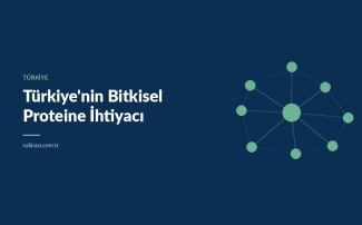 Türkiye'nin Bitkisel Proteine İhtiyacı: Neden Kritik?