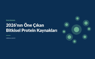 2026'nın Öne Çıkan Bitkisel Protein Kaynakları