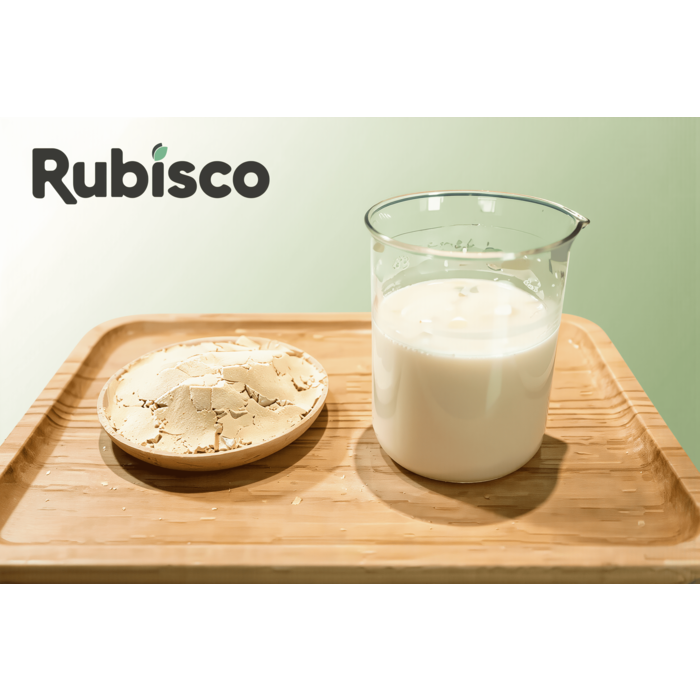 Rubisco NextTaste Hidrolize Bezelye Proteini (%80) — 20 kg