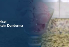 Bitkisel Protein Dondurma