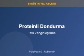 Bitkisel Protein Dondurma