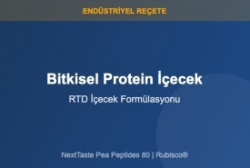 Bitkisel Protein İçecek Formülasyonu