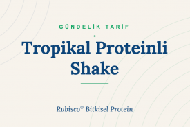 Tropikal Proteinli Shake